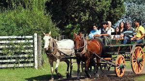 GAUCHO DAY ADVENTURE AT FARM