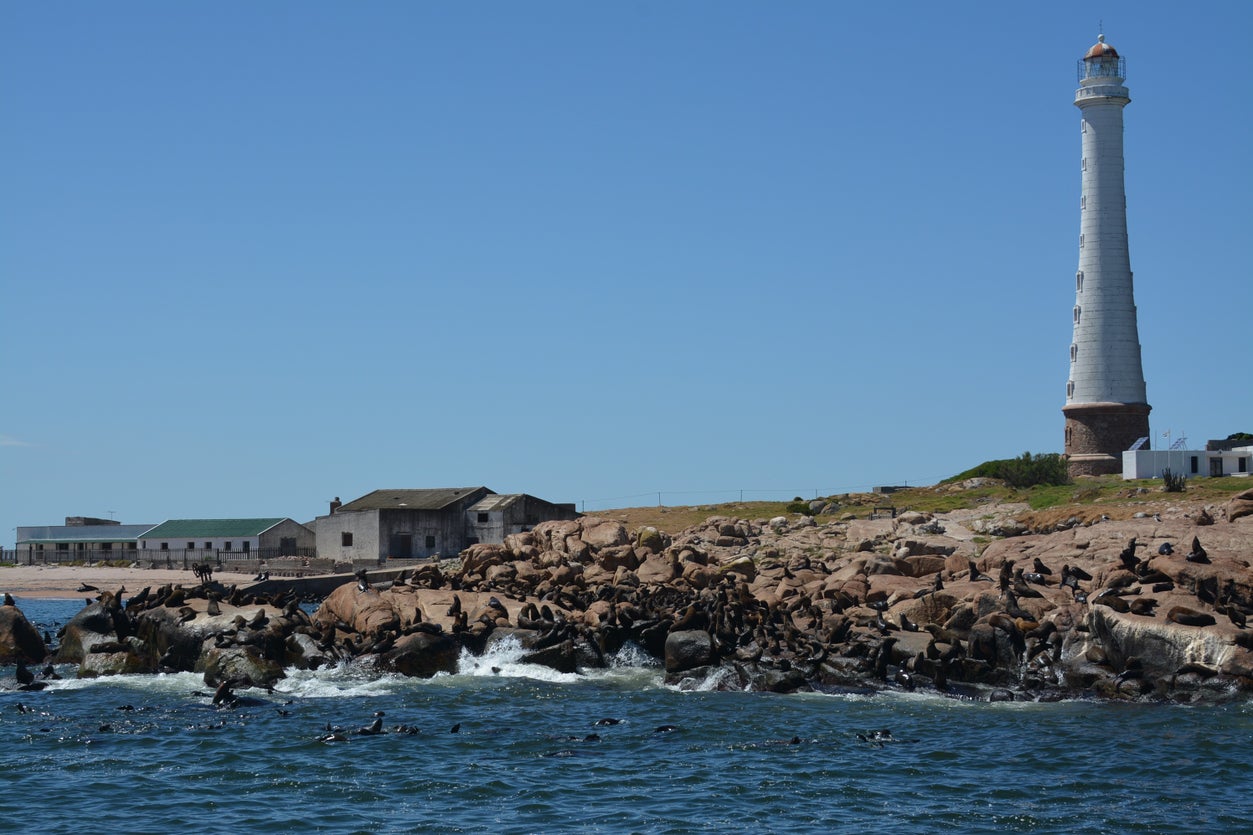 City Tour Punta del Este - Imagen 2