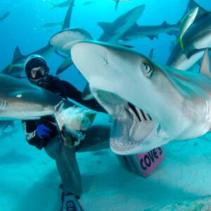 Buceo en Las Bahamas